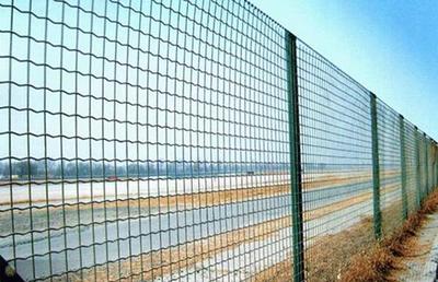围地护栏网3